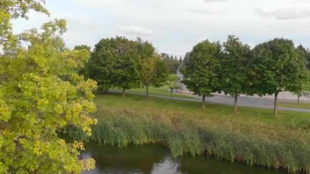 Aerial Footage Flying Tree Island Looking Few Ducks Swimming Water — Vídeo de Stock