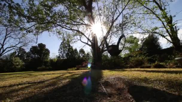 Empty Swing Tree Swinging Garden — Stockvideo