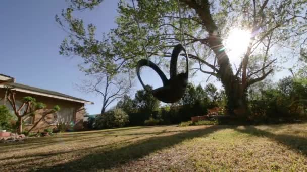 Swing Vacío Árbol Balanceándose Jardín — Vídeos de Stock