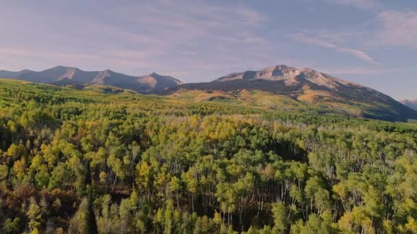 Аспенс Поворачивает Перевал Кеблер Колорадо — стоковое видео
