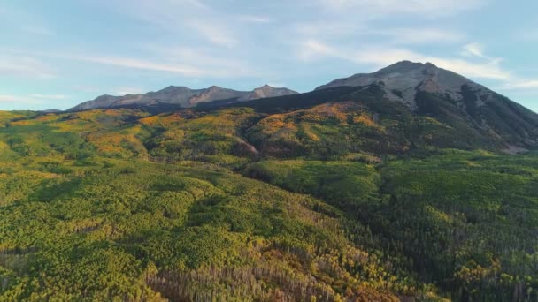 Aspens Turning Kebler Pass Colorado — Stock video