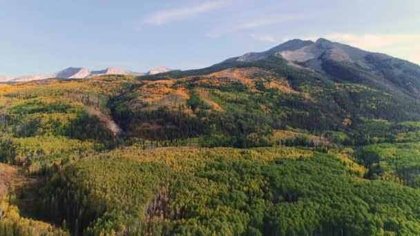 Aspens Encendiendo Paso Kebler Colorado — Vídeos de Stock