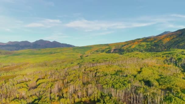 Aspens Turning Kebler Pass Colorado — Stok video