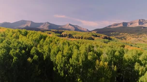 Aspens Encendiendo Paso Kebler Colorado — Vídeos de Stock