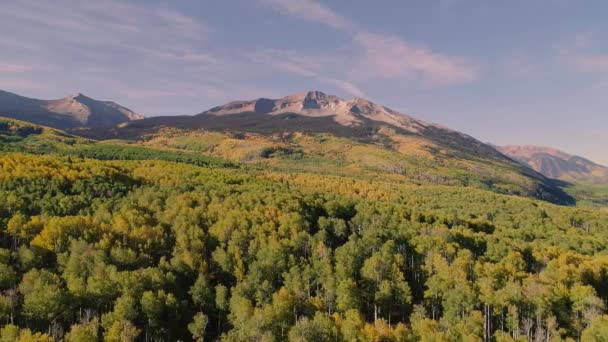 Aspens Włącza Kebler Pass Kolorado — Wideo stockowe