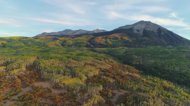 Aspens Encendiendo Paso Kebler Colorado — Vídeos de Stock