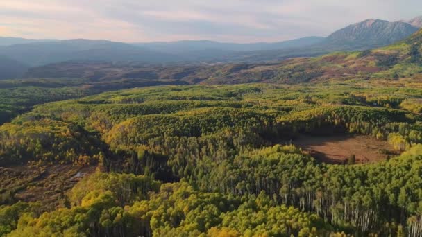 Aspens Turning Kebler Pass Colorado — Stok video