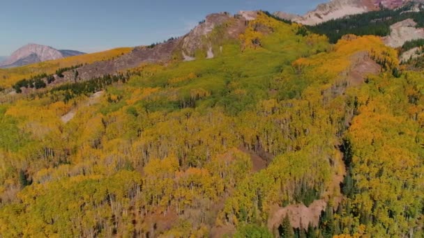 Aspens Turning Kebler Pass Colorado — Stock video