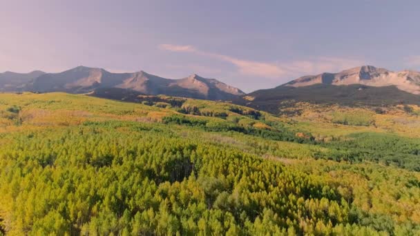 Aspens Włącza Kebler Pass Kolorado — Wideo stockowe