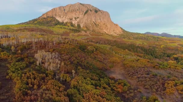 Aspens Turning Kebler Pass Colorado — Stok video