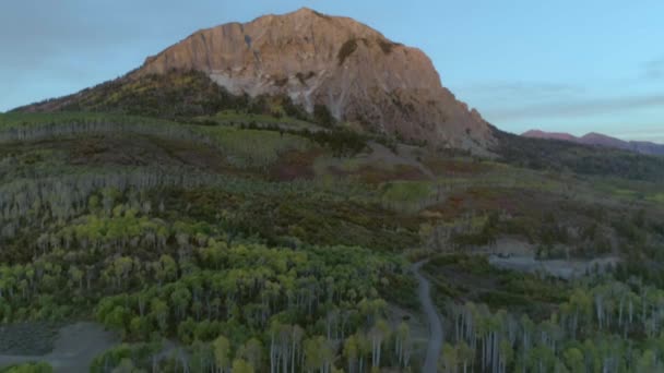 Aspens Turning Kebler Pass Colorado — Stok video