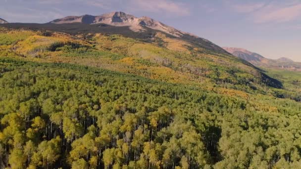 Aspens Włącza Kebler Pass Kolorado — Wideo stockowe