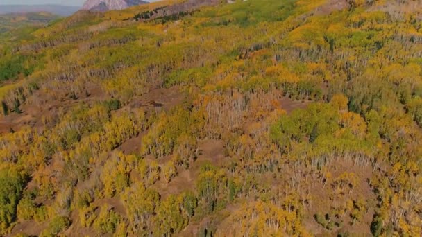 Аспенс Поворачивает Перевал Кеблер Колорадо — стоковое видео