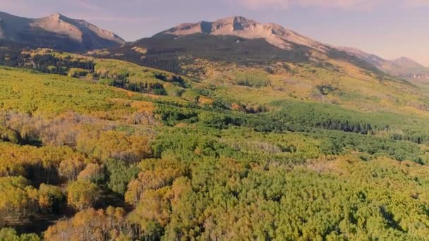 Aspens Tournant Sur Kebler Pass Colorado — Video