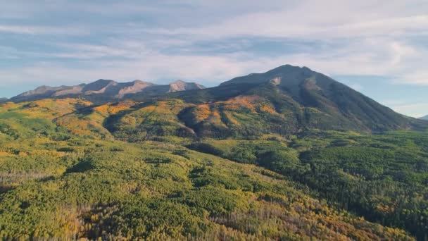 Aspens Turning Kebler Pass Colorado — Vídeo de Stock