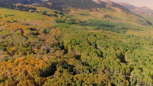 Aspens Encendiendo Paso Kebler Colorado — Vídeos de Stock