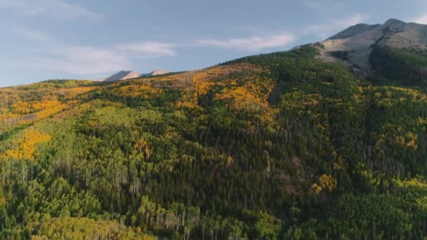 Aspens Encendiendo Paso Kebler Colorado — Vídeos de Stock