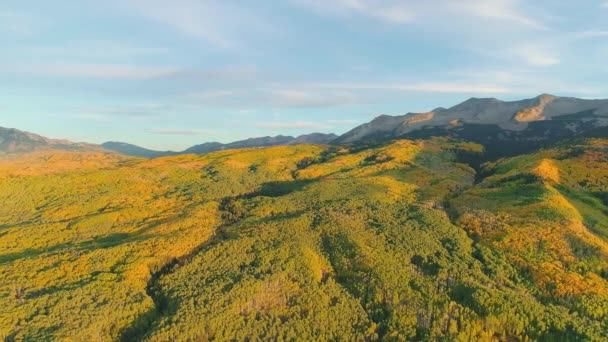 Aspens Turning Kebler Pass Colorado — Video