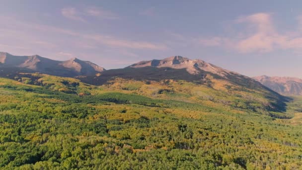 Aspens Turning Kebler Pass Colorado — Stok video
