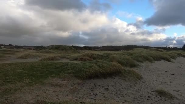 Beach Stormy Afternoon — Stockvideo