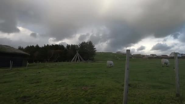 Driving Stormy Afternoon Countryside — Stok video