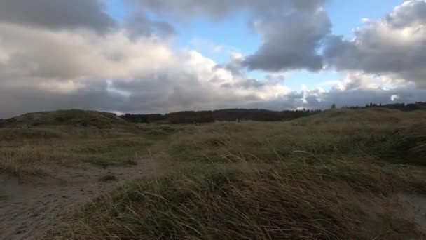 Beach Stormy Afternoon — Stockvideo