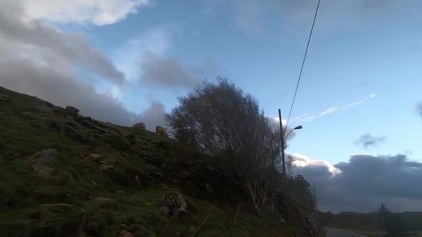 Stürmischer Nachmittag Auf Dem Land — Stockvideo