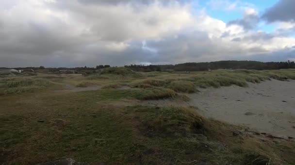 Beach Stormy Afternoon — Vídeo de Stock