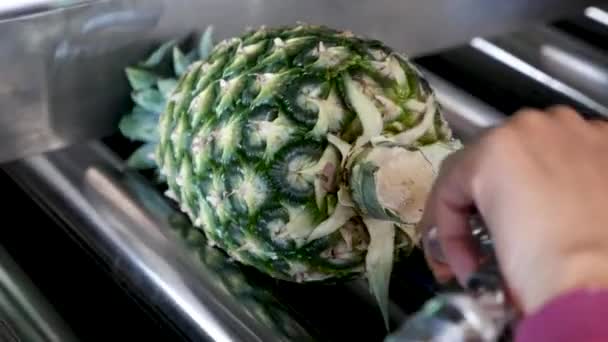 Pineapple Conveyor Belt Shot Gh5 8Lens 97Fps — Vídeo de Stock