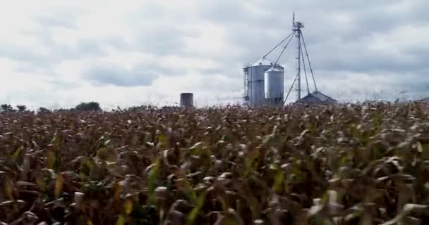 Fast Dolly Move Right Tops Cornstalks View Grain Silo American — Stockvideo