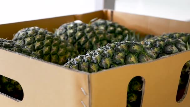 Pineapple Packing Box Shot Gh5 8Lens — Stock Video
