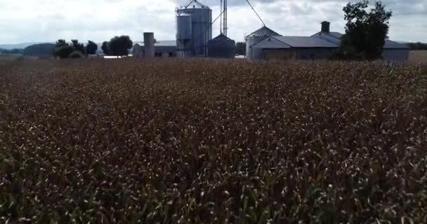 Aerial Camera Flying Cornfields Grain Silo Flag Top Distant Mountains — Stok video