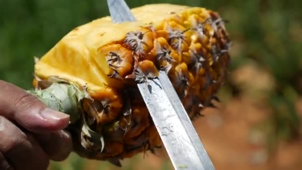 Peeling Pineapple Shot Panasonic Gh5 97Fps — Vídeo de Stock