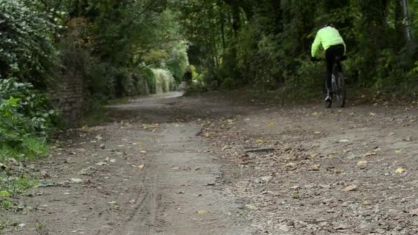 Cyclist Country Lane — Stock Video