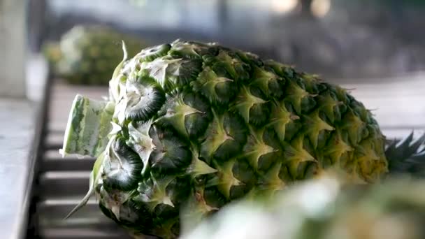 Pineapple Conveyor Belt Shot Gh5 8Lens 97Fps — Stockvideo