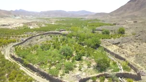 Voando Acima Das Fazendas Primavera Respire Limpo Fresco Assista Verde — Vídeo de Stock