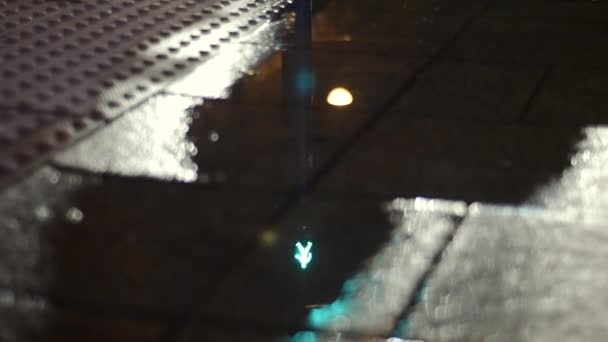 Puddle Reflecting Urban Sidewalk Pedestrian Crossing Lights Change Rainy Night — стоковое видео