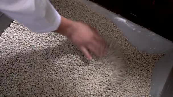 Coffee Factory Making Coffee Bean 97Fps — Vídeo de Stock