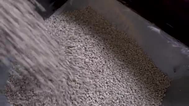 Coffee Factory Making Coffee Bean 97Fps — Stockvideo