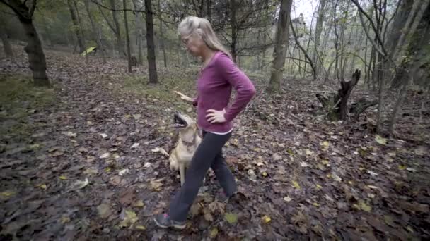 Pretty Mature Woman Gives Sit Command Her Yellow Lab She — Wideo stockowe