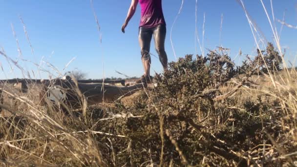 Slow Motion Female Runner Crossing Obstacle — Stock videók