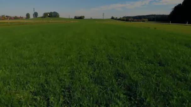 Drone Flying Freshly Planted Crops — Stock video