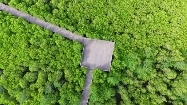 Aerial Shot Golden Meadow Tung Prong Thong Rayong District Thailand — Video Stock