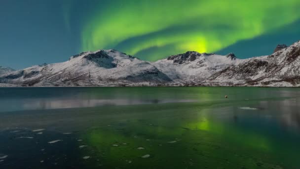 Aurora Nad Zamarzniętym Jeziorem Lofoten Norwegia Ziemia Zielonym Dachem — Wideo stockowe