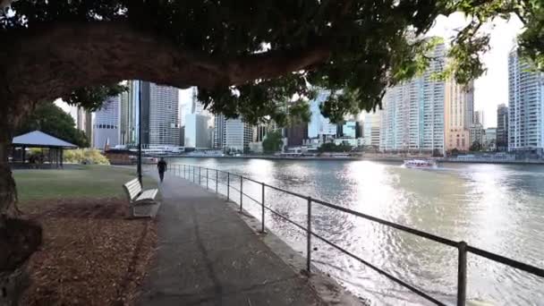 Cinematic Roll Brisbane Skyline Natural Lens Flares — Stockvideo