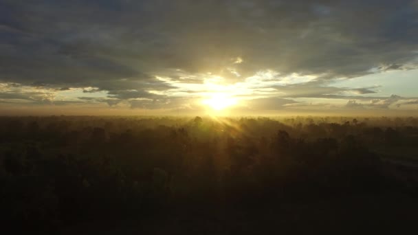 Sunrise Aerial Shot Forest Fog Aerial North Thailand — Vídeo de Stock