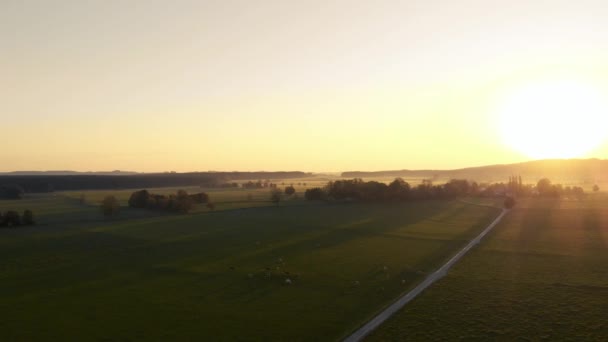 德国巴伐利亚 以落日笼罩高山为背景的农田上空 — 图库视频影像