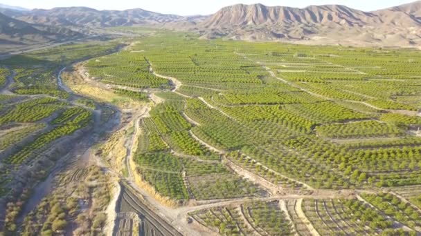 Flying Farms Spring — Stok video