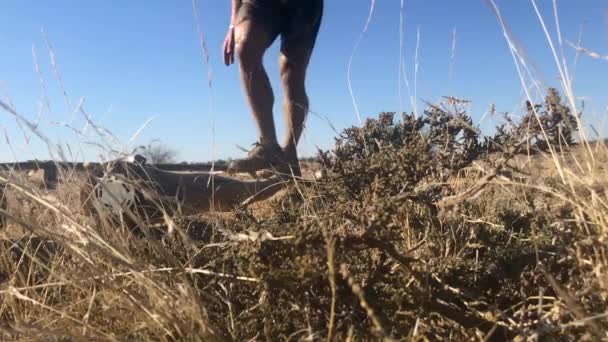Slow Motion Runner Crossing Obstacle — Stok video
