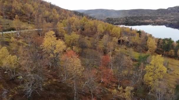 Norwegian Fall Mountain — Wideo stockowe